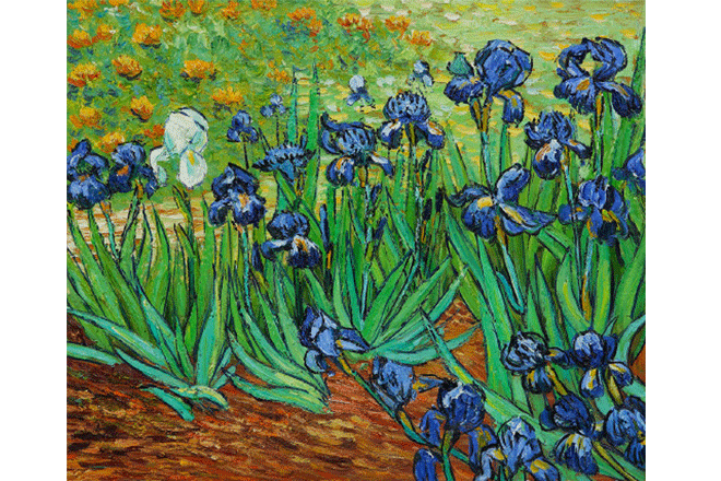 Hoa dien vi Van Gogh